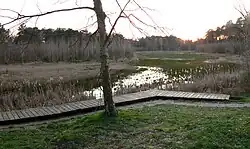 Gleicher Blickwinkel auf verkrautete Seefläche mit geringem Wasserstand, Frühjahr 2020