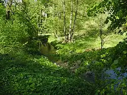 NSG Vogelsangbachtal