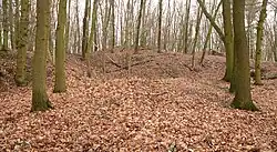 Wall der Befestigungsanlage