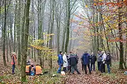 Geophysikalische Prospektion im Herbst 2014