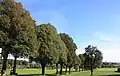Der mittlere Teil der Allee vom Parkplatz aus