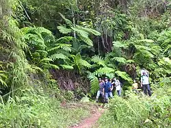 Nationalpark Sierra Maestra