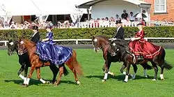 Damensattel und Show-Reitkleider