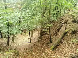 Blick vom westlichen Fuß des Burghügels in den nach Osten abknickenden Halsgraben