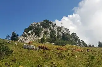 Gipfelregion mit Gipfelkreuz des Hennenkopf von Südwesten