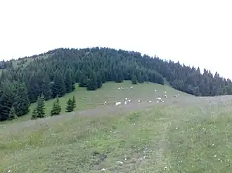 Gipfel mit Alm von Westen