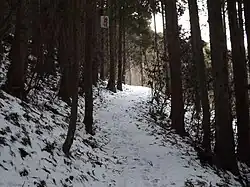 Schmaler Weg zum Tempel