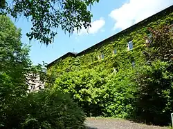 Nordwestteil des Arboretums