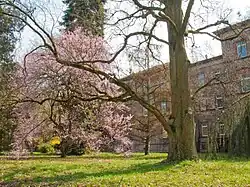 Blick in den Südwestteil des Arboretums