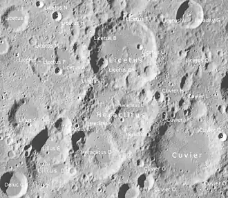 Licetus (Mitte oben) und Umgebung (LROC-WAC)