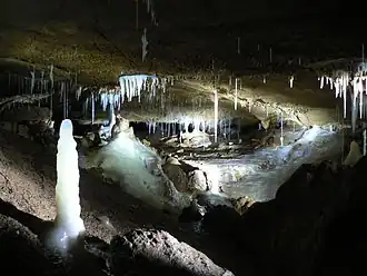 Herbstlabyrinth 2009