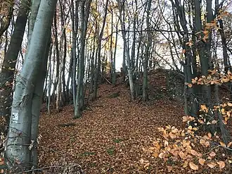 Blick auf den Gipfel