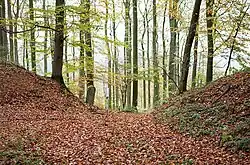 Eingangsbereich der Wallanlage