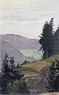 Hermann Daur Naturpark z. Villenansiedlg. Küchlin'sches Gelände Bohertal, Horben, Blick n. Holzschlägermatte, Postkarte 1913