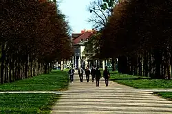 Blick in der offenen Allee zum Königsworther Platz, im Hintergrund die Villa Simon