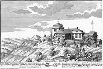 Schloss Goldenberg in Dorf ZH