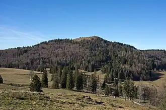 Das Herzogenhorn von Südosten (Krunkelbachhütte)