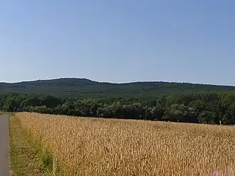 Blick aus Richtung Friedrichsdorf zur Gickelsburg (links) und Hesselberg (rechts)