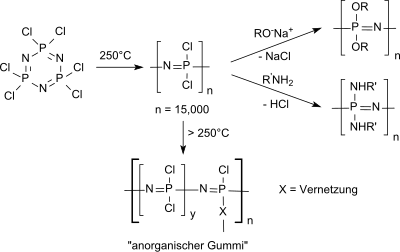 Ringöffnende Polymerisation von Hexachlorphosphazen und Vernetzung bzw. polymeranaloge Umsetzung mit Nucleophilen