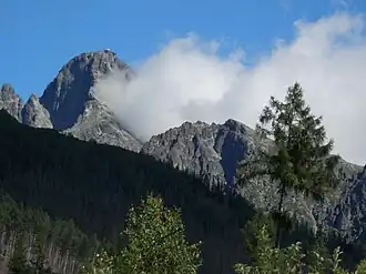 Die Veľká Lomnická veža links des Baums
