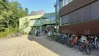 Hintereingang (2024)