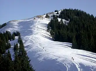 Das Hintere Hörnle im Winter