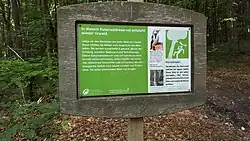 Naturwaldreservat Spielberger Leiten