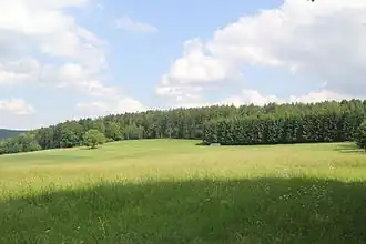 Gipfelbereich des Hirschberges