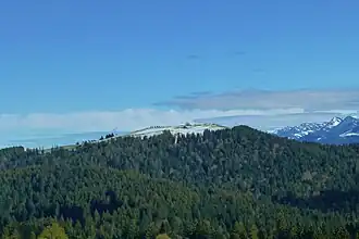 Blick vom Pfänder auf den Hirschberg