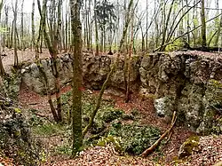 Erdfall Hirschzungen