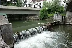 Wehr Hochbord mit Fischtreppe, Wasserentnahme Grindelweier und Fabrikkanal Herzogenmühle