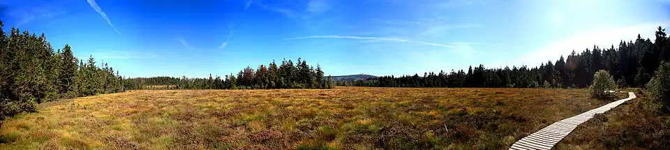 Blick über das Torfhausmoor (auch Radaubornmoor genannt) zum Brocken