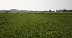 Polderstaudämme (Richtung Stöckheim/Drüber)