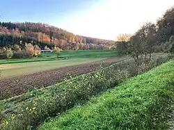 Hochwasser­rückhalte­becken Natt­heimer Tal (2022), Wasser­seite