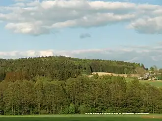 Blick auf den Hohberg von Westen