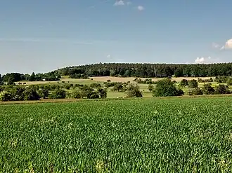 Hohe Berg (Westseite)