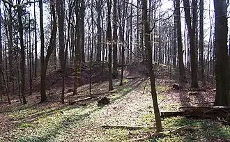 Die Hohe Burg, Reste des slawischen Burgwalls