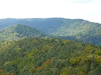 Hohe Derst: Blick vom Stäffelsberg