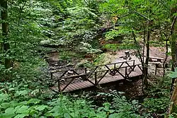 Dicke Tannen, Stempelstelle 45 der Harzer Wandernadel