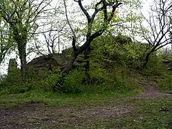 Zugewilderte Oberburg