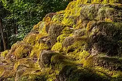Hoher Brunnen bei Sollngriesbach – schon recht aussedimentierte und überwachsene Sinterterrassen