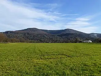 Blick von einem Wirtschaftsweg südlich von Dossenheim ostwärts zum Hohen Nistler: Steinbruch Leferenz (links), Hoher Nistler (mittig links), Gewannhöhe (mittig rechts), Heidenknörzel (im Hintergrund rechts)