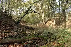 Breiter Kessel an der Verzweigung der Hohl (2020)