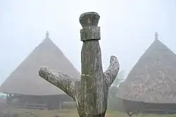 Ai To’os in Hohulu, Maubisse