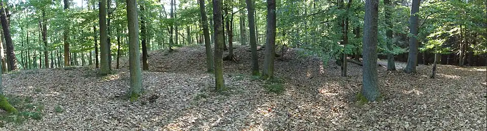 Der dritte Abschnittswall