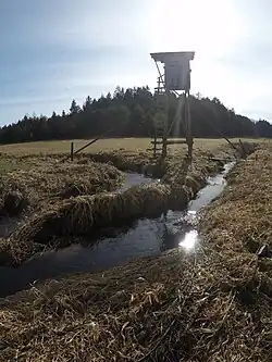 Ursprung des Haselbachs aus dem Zusammenfluss von Auer Bach (links) und Holmbach (rechts)