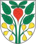 Wappen von Ober Repsch, mit Roter Rübe