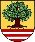 Oberbukowin