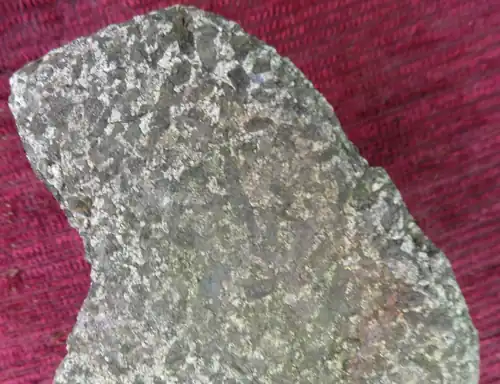 Hornblendit von der südlichen Kontaktzone des Piégut-Pluviers-Granodiorits bei Nontron