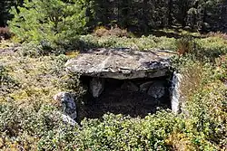 Steinkiste von Norden